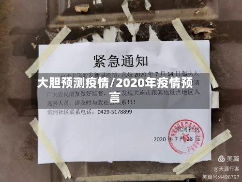 大胆预测疫情/2020年疫情预言