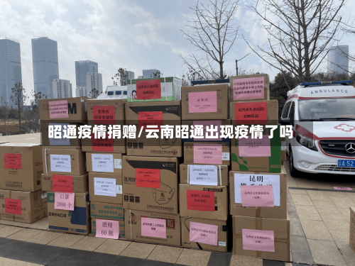 昭通疫情捐赠/云南昭通出现疫情了吗