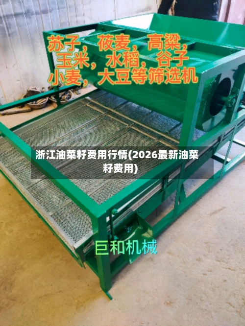 浙江油菜籽费用行情(2026最新油菜籽费用)-第3张图片