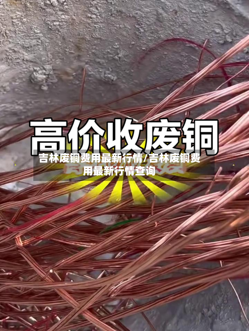 吉林废铜费用最新行情/吉林废铜费用最新行情查询