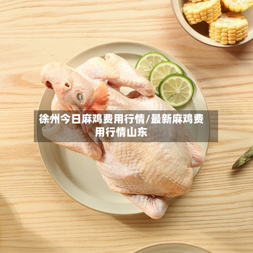 徐州今日麻鸡费用行情/最新麻鸡费用行情山东