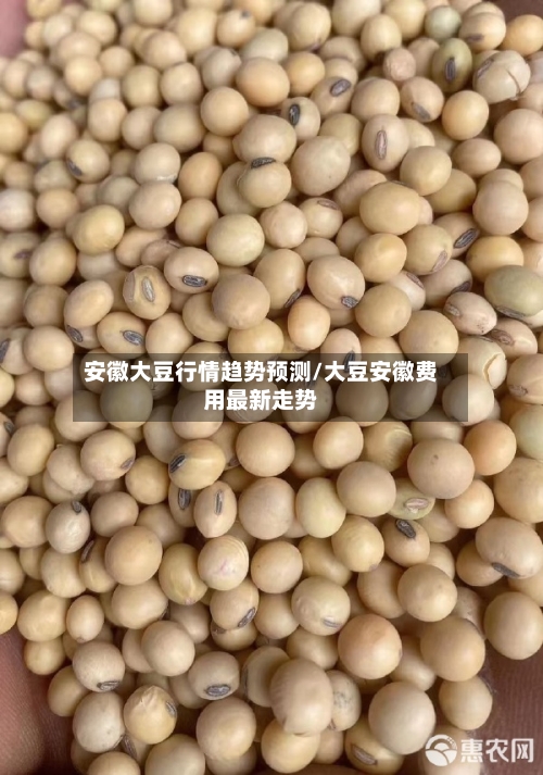 安徽大豆行情趋势预测/大豆安徽费用最新走势