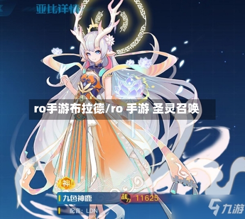 ro手游布拉德/ro 手游 圣灵召唤