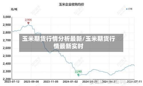 玉米期货行情分析最新/玉米期货行情最新实时