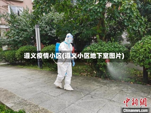 遵义疫情小区(遵义小区地下室图片)