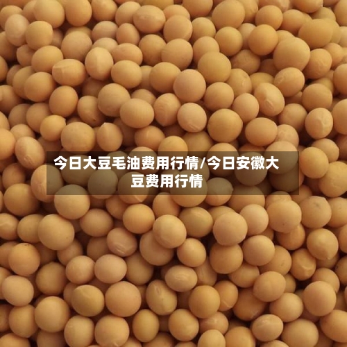 今日大豆毛油费用行情/今日安徽大豆费用行情
