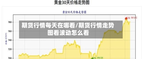 期货行情每天在哪看/期货行情走势图看波动怎么看-第3张图片