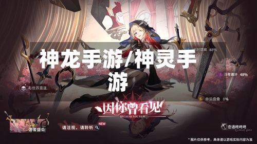 神龙手游/神灵手游
