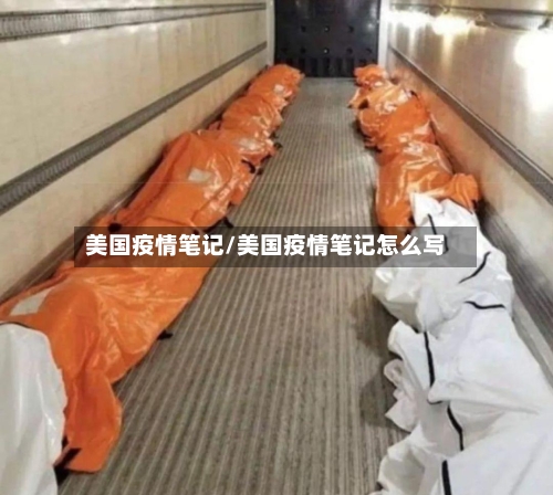 美国疫情笔记/美国疫情笔记怎么写-第2张图片