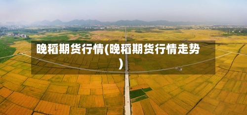 晚稻期货行情(晚稻期货行情走势)