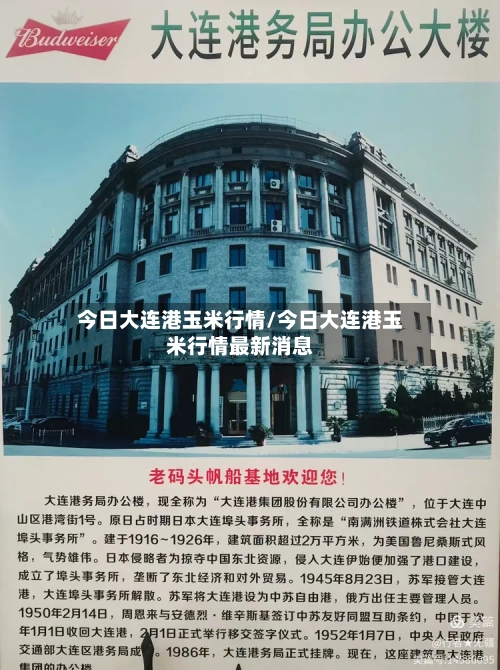 今日大连港玉米行情/今日大连港玉米行情最新消息