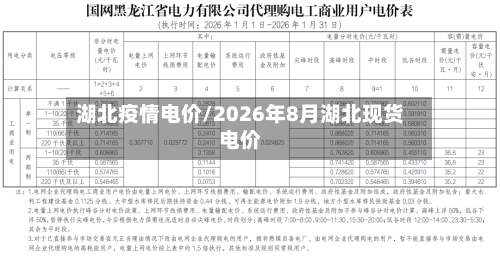 湖北疫情电价/2026年8月湖北现货电价