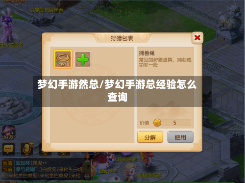 梦幻手游然总/梦幻手游总经验怎么查询-第2张图片