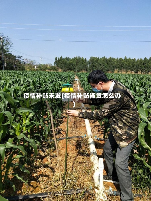 疫情补贴未发(疫情补贴被贪怎么办)-第2张图片