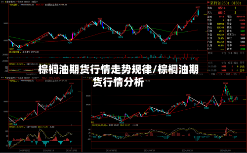 棕榈油期货行情走势规律/棕榈油期货行情分析