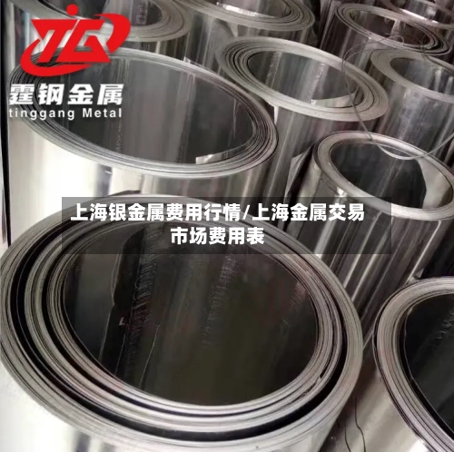 上海银金属费用行情/上海金属交易市场费用表