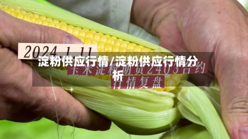 淀粉供应行情/淀粉供应行情分析-第2张图片