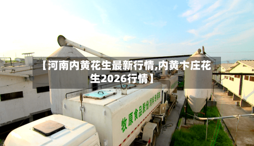 【河南内黄花生最新行情,内黄卞庄花生2026行情】
