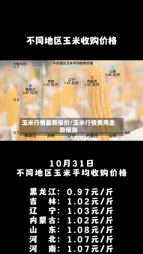 玉米行情最新报价/玉米行情费用走势预测