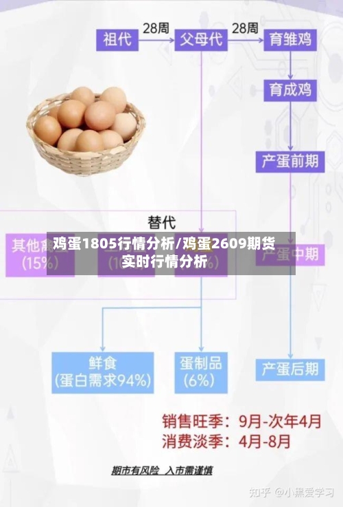 鸡蛋1805行情分析/鸡蛋2609期货实时行情分析-第2张图片