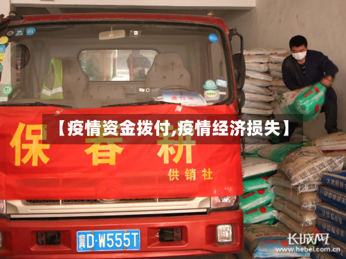 【疫情资金拨付,疫情经济损失】-第3张图片