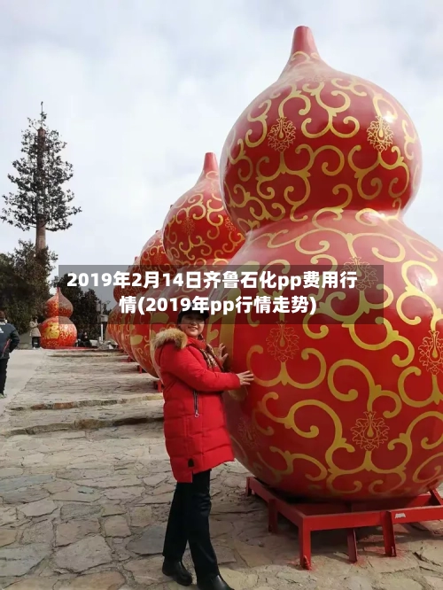 2019年2月14日齐鲁石化pp费用行情(2019年pp行情走势)