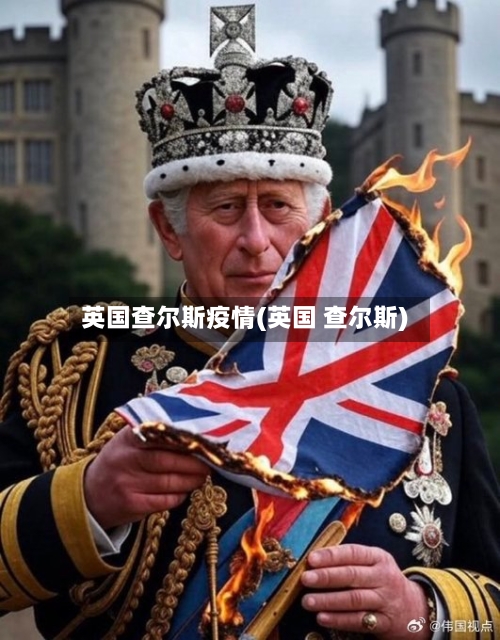 英国查尔斯疫情(英国 查尔斯)