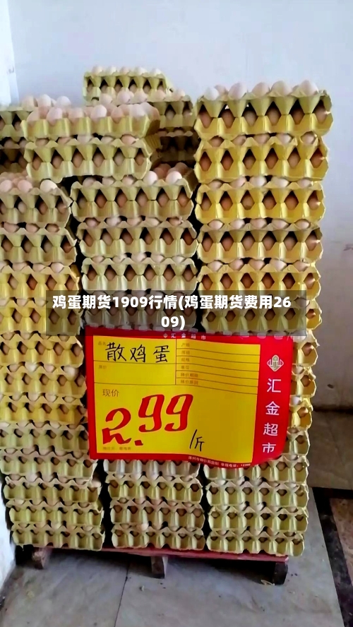鸡蛋期货1909行情(鸡蛋期货费用2609)