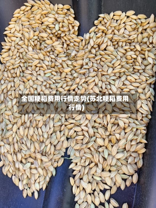 全国粳稻费用行情走势(苏北粳稻费用行情)-第2张图片