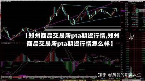 【郑州商品交易所pta期货行情,郑州商品交易所pta期货行情怎么样】-第2张图片