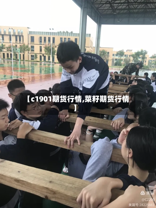 【c1901期货行情,菜籽期货行情】-第3张图片