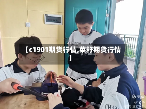 【c1901期货行情,菜籽期货行情】-第2张图片