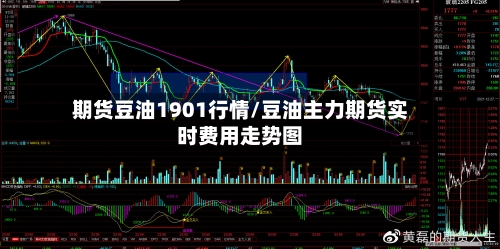 期货豆油1901行情/豆油主力期货实时费用走势图