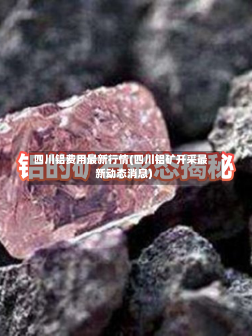 四川铝费用最新行情(四川铝矿开采最新动态消息)-第3张图片