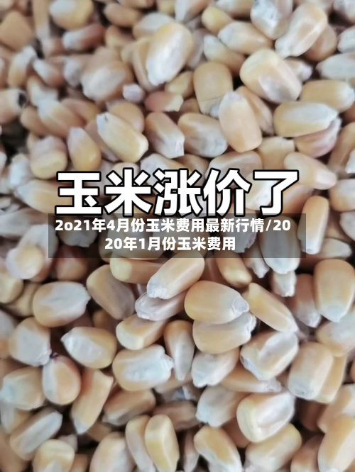 2o21年4月份玉米费用最新行情/2020年1月份玉米费用