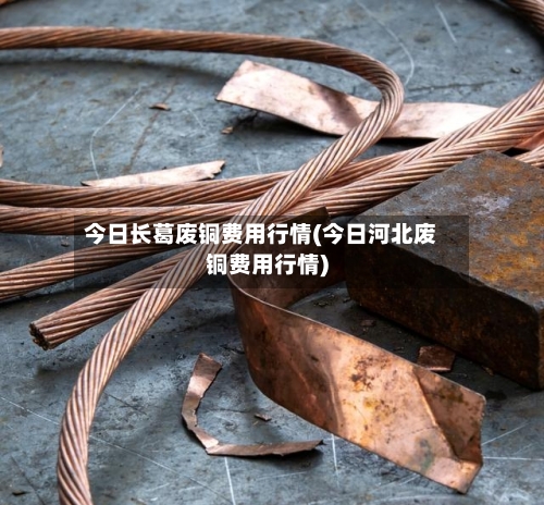 今日长葛废铜费用行情(今日河北废铜费用行情)-第3张图片
