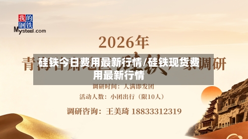 硅铁今日费用最新行情/硅铁现货费用最新行情-第2张图片