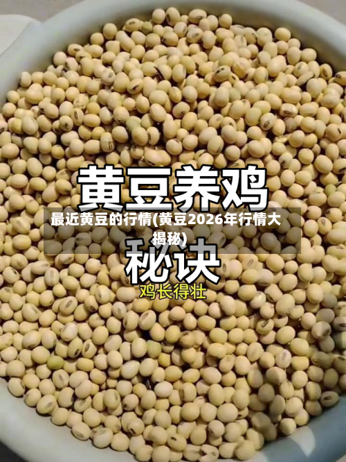 最近黄豆的行情(黄豆2026年行情大揭秘)