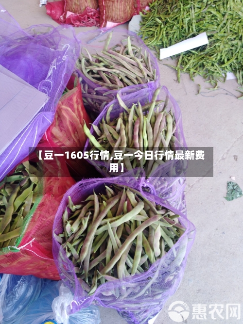 【豆一1605行情,豆一今日行情最新费用】-第2张图片