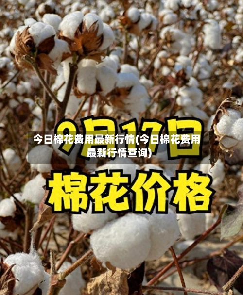 今日棉花费用最新行情(今日棉花费用最新行情查询)-第3张图片