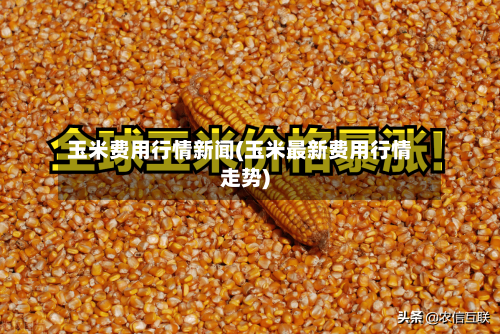玉米费用行情新闻(玉米最新费用行情走势)-第2张图片