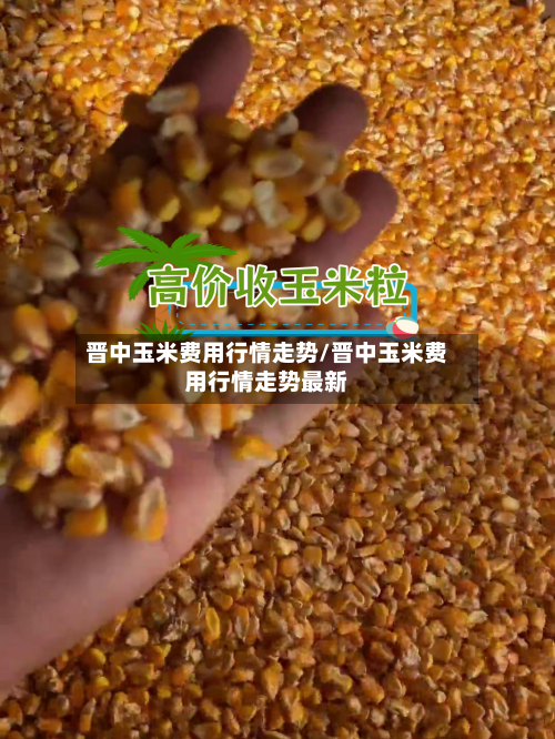 晋中玉米费用行情走势/晋中玉米费用行情走势最新-第2张图片