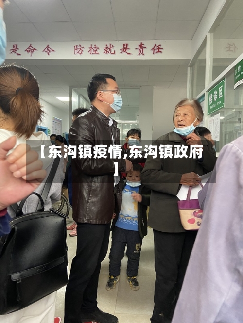 【东沟镇疫情,东沟镇政府】-第3张图片