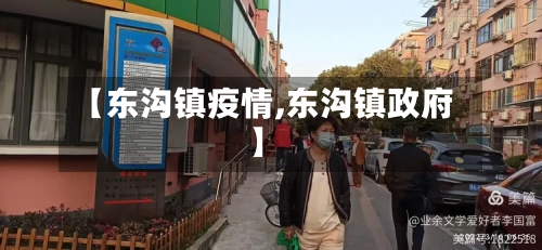【东沟镇疫情,东沟镇政府】-第2张图片