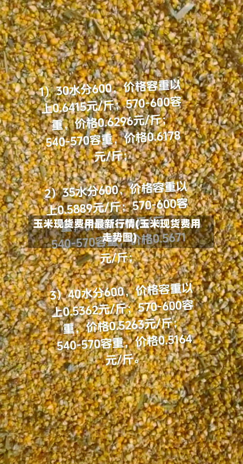 玉米现货费用最新行情(玉米现货费用走势图)