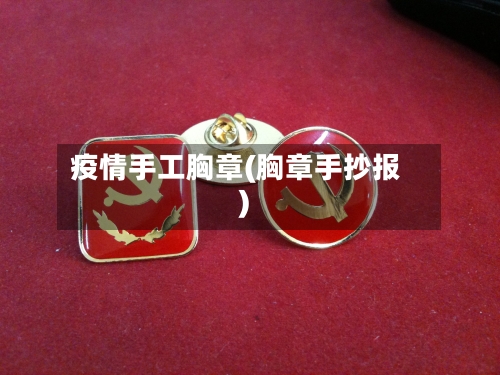 疫情手工胸章(胸章手抄报)