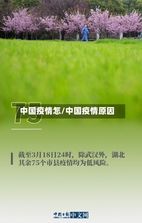 中国疫情怎/中国疫情原因-第2张图片