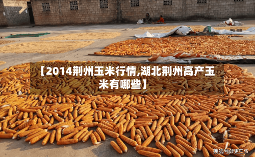 【2014荆州玉米行情,湖北荆州高产玉米有哪些】