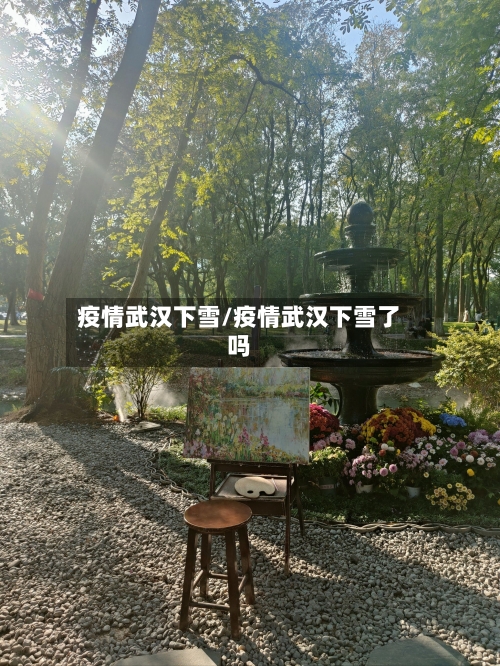 疫情武汉下雪/疫情武汉下雪了吗-第2张图片
