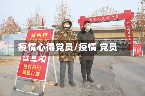 疫情心得党员/疫情 党员-第2张图片